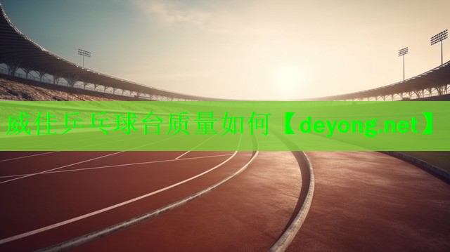 <strong>威佳乒乓球台质量如何</strong>