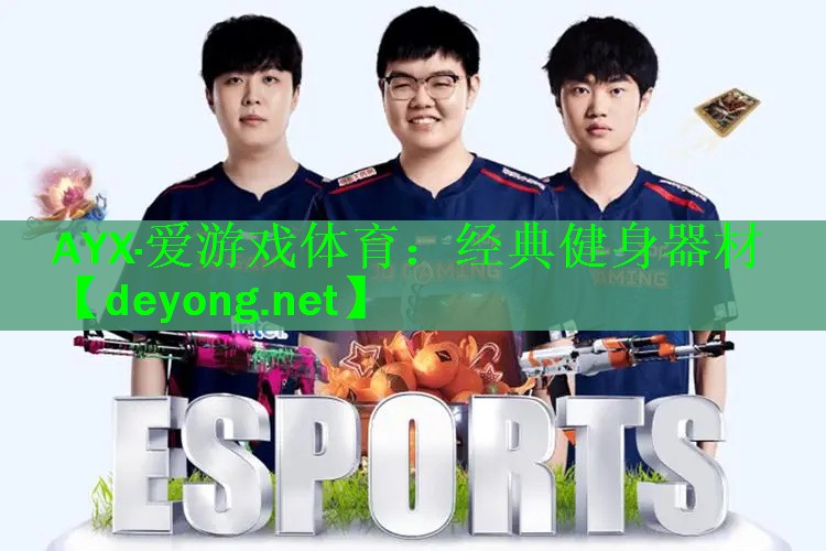 AYX·爱游戏体育：经典健身器材