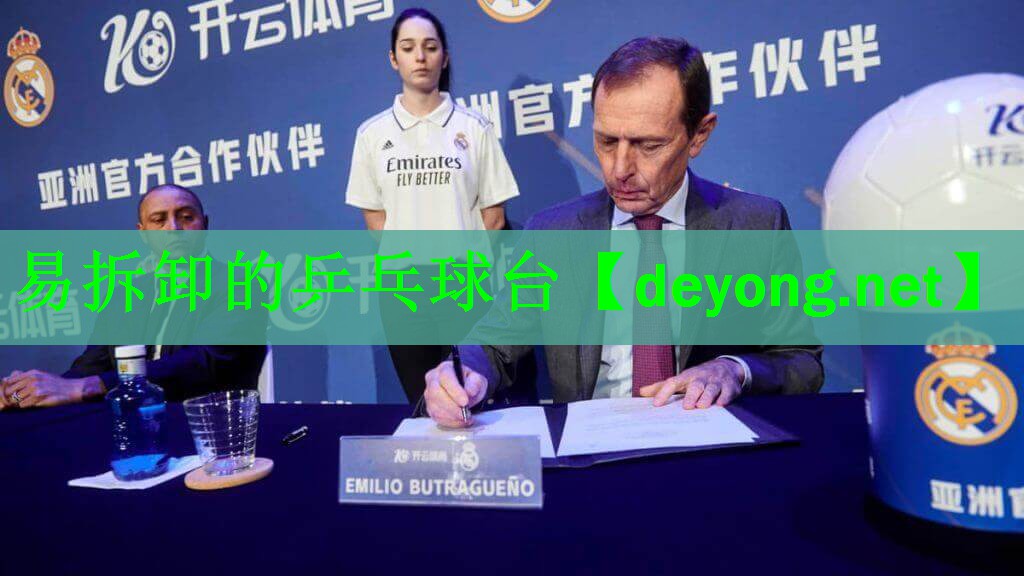 易拆卸的乒乓球台