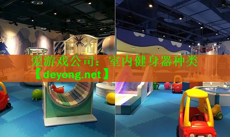 爱游戏公司：室内健身器种类