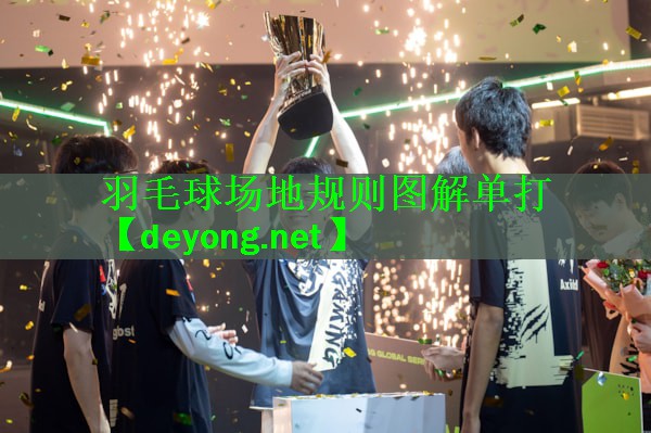 <strong>羽毛球场地规则图解单打</strong>