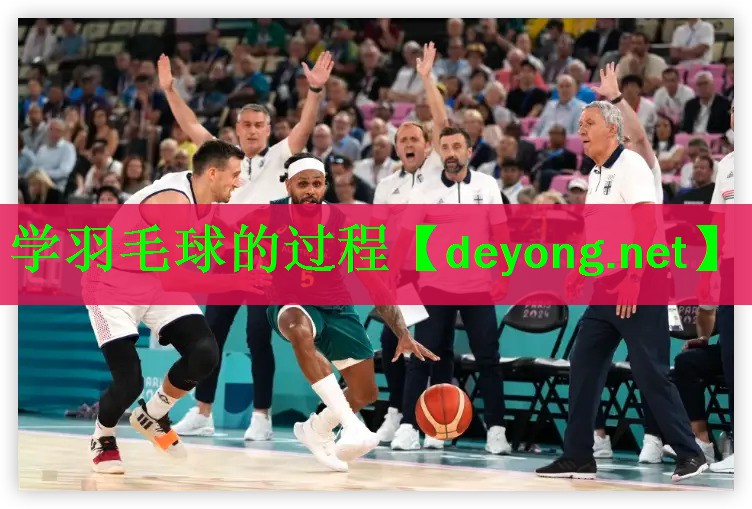 <strong>学羽毛球的过程</strong>