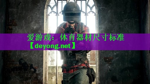 <strong>爱游戏：体育器材尺寸标准</strong>