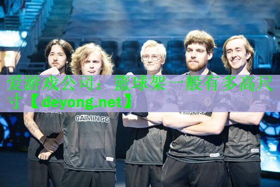 爱游戏公司：篮球架一般有多高尺寸