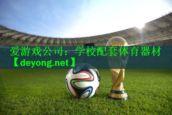 爱游戏公司：学校配套体育器材