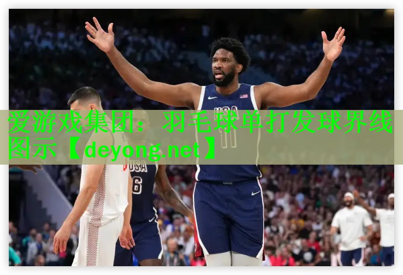 爱游戏集团：羽毛球单打发球界线图示