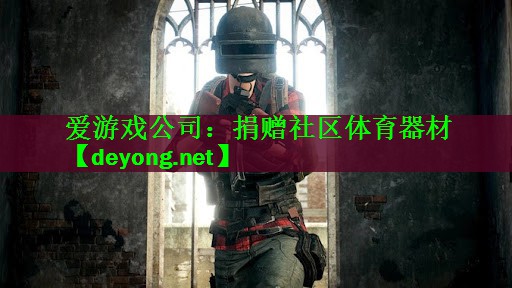 <strong>爱游戏公司：捐赠社区体育器材</strong>