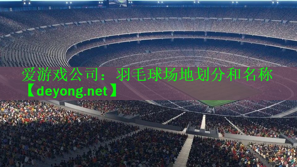 <strong>爱游戏公司：羽毛球场地划分和名称</strong>