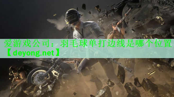 爱游戏公司：羽毛球单打边线是哪个位置