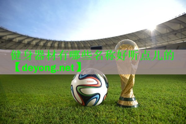<strong>健身器材有哪些名称好听点儿的</strong>