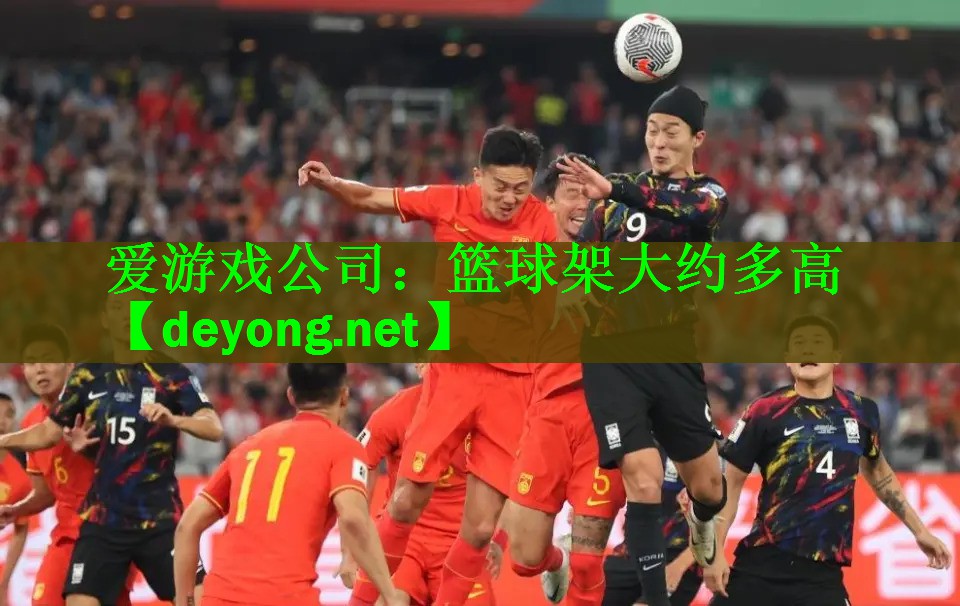 爱游戏公司：篮球架大约多高