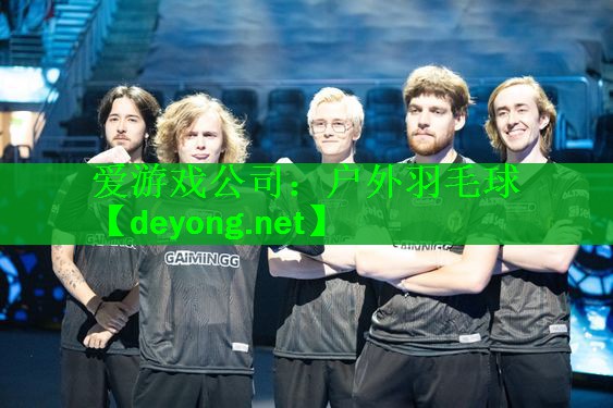 <strong>爱游戏公司：户外羽毛球</strong>