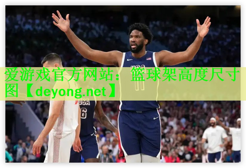 <strong>爱游戏官方网站：篮球架高度尺寸图</strong>