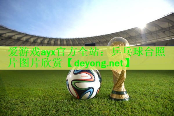 <strong>爱游戏ayx官方全站：乒乓球台照片图片欣赏</strong>