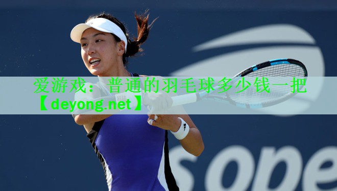 爱游戏：普通的羽毛球多少钱一把