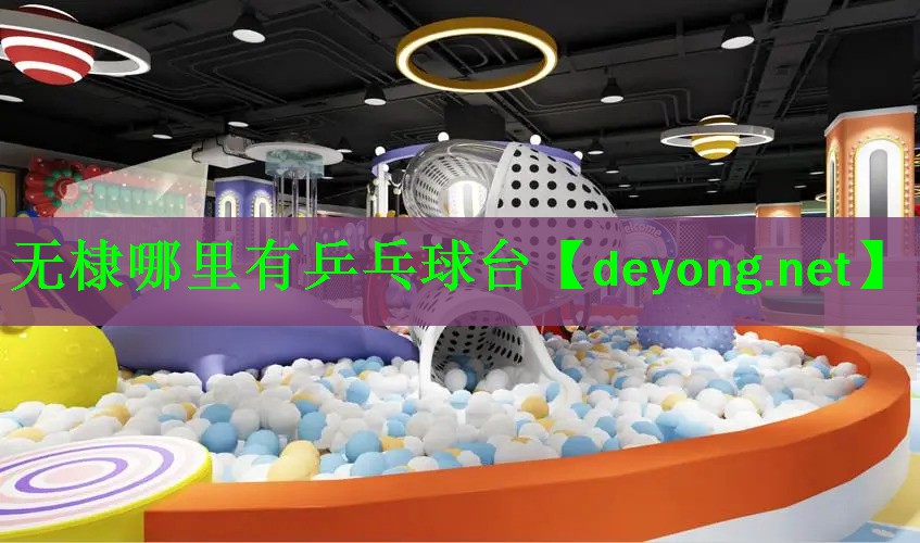 无棣哪里有乒乓球台