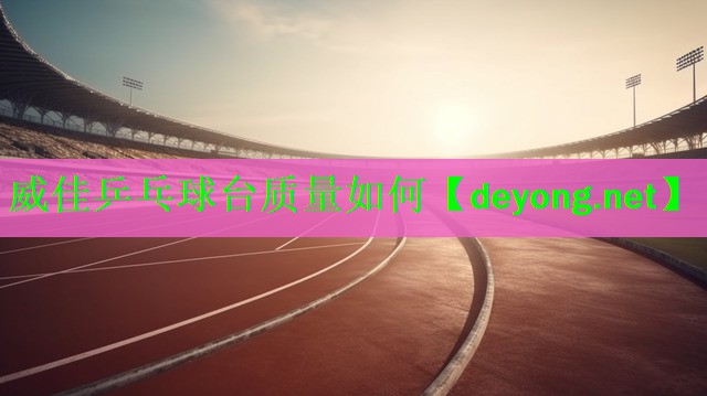 威佳乒乓球台质量如何