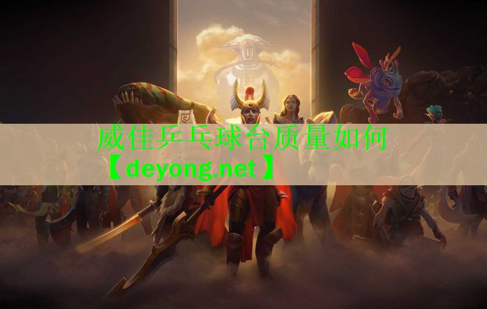 威佳乒乓球台质量如何