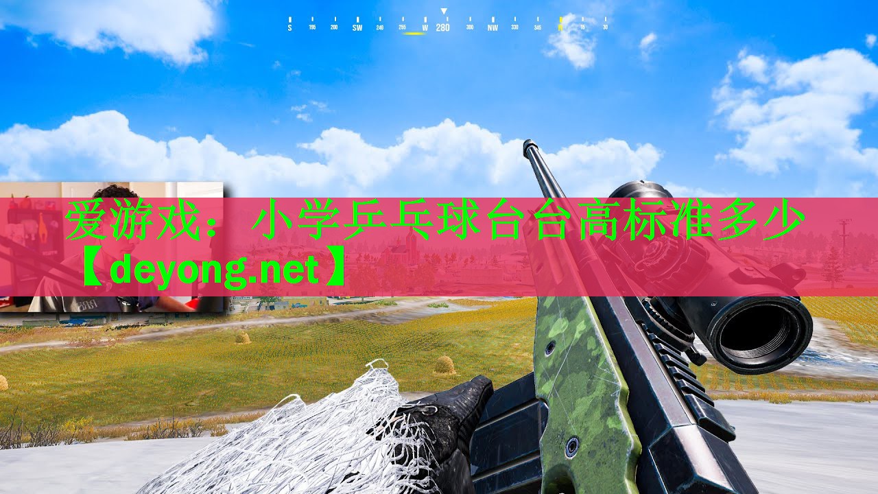 小学乒乓球台台高标准多少