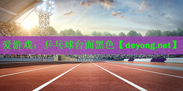 乒乓球台面黑色