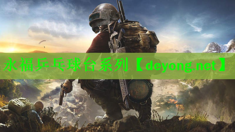 永福乒乓球台系列