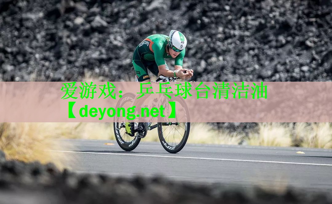 乒乓球台清洁油