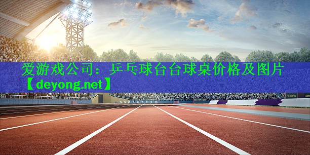 乒乓球台台球桌价格及图片