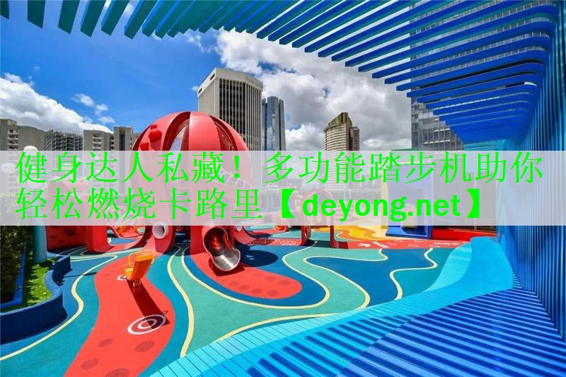 健身达人私藏！多功能踏步机助你轻松燃烧卡路里