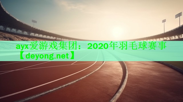 2020年羽毛球赛事