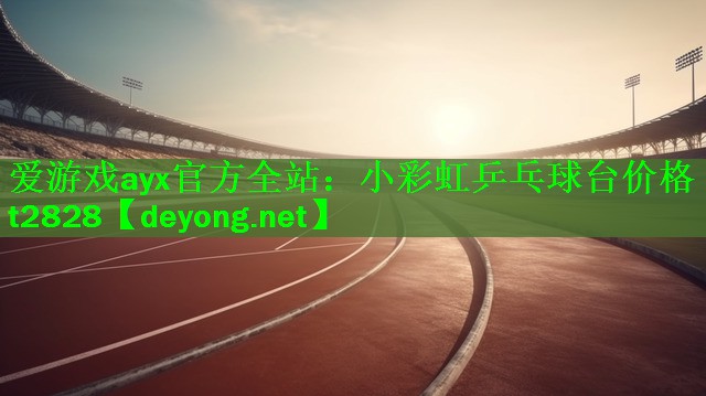 小彩虹乒乓球台价格t2828