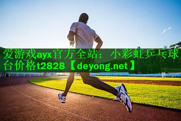 小彩虹乒乓球台价格t2828
