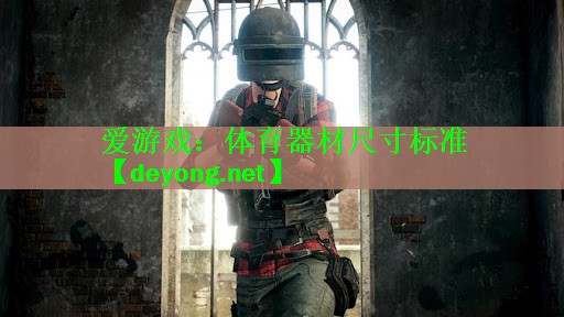 体育器材尺寸标准