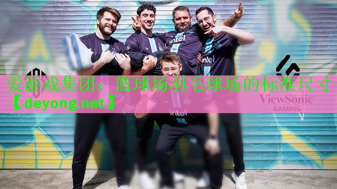 篮球场羽毛球场的标准尺寸