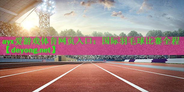 国际羽毛球比赛全程