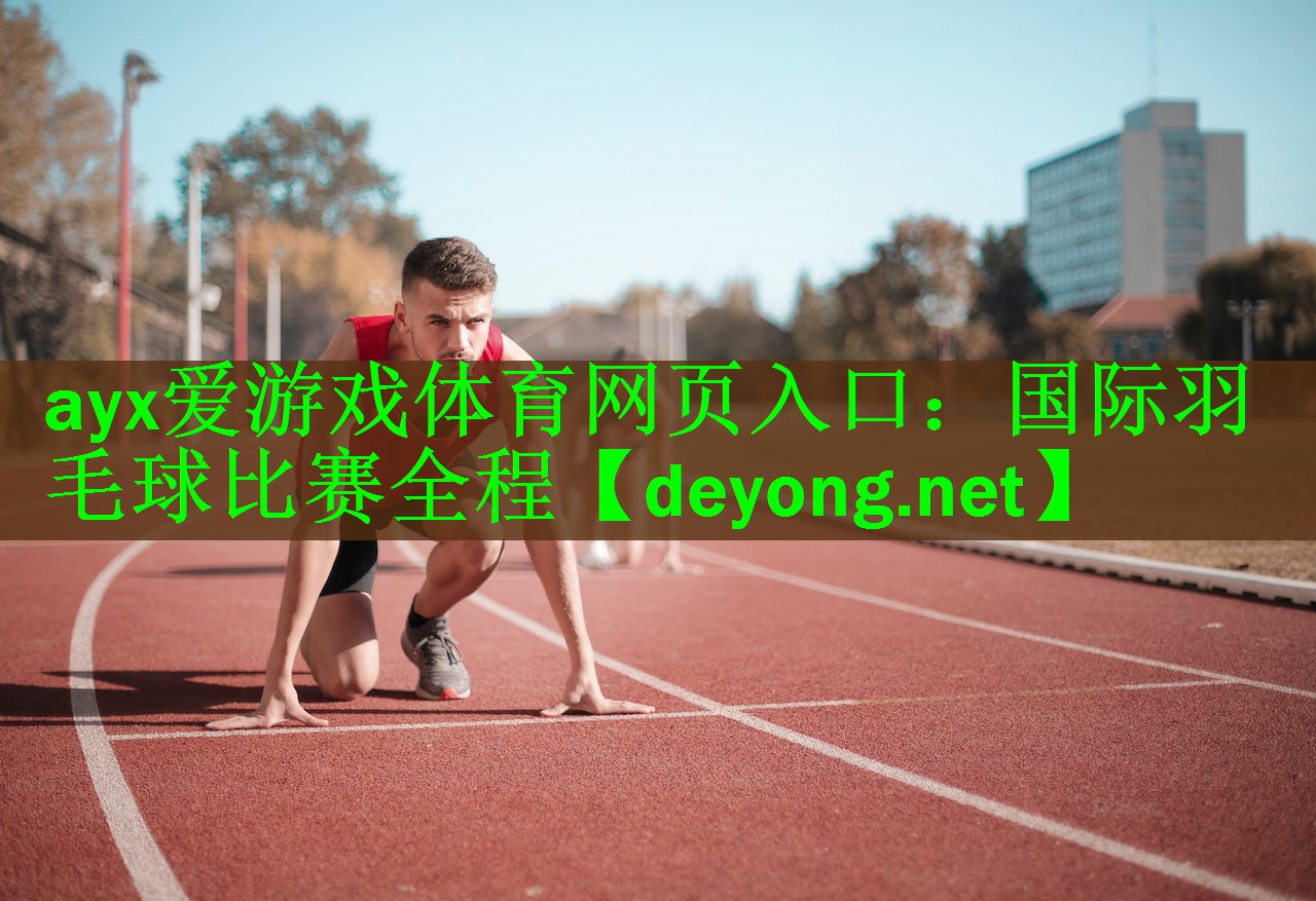 国际羽毛球比赛全程
