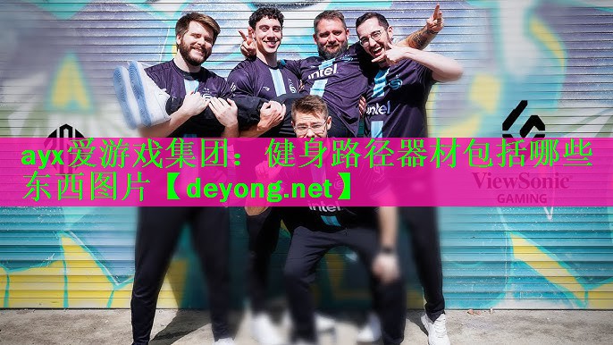 健身路径器材包括哪些东西图片