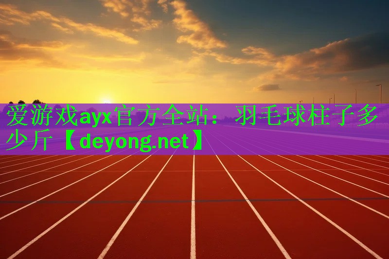 羽毛球柱子多少斤