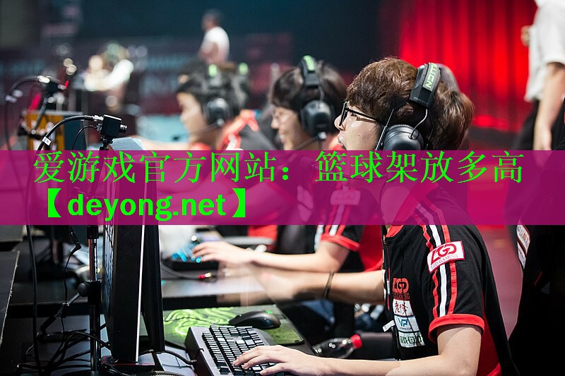 篮球架放多高