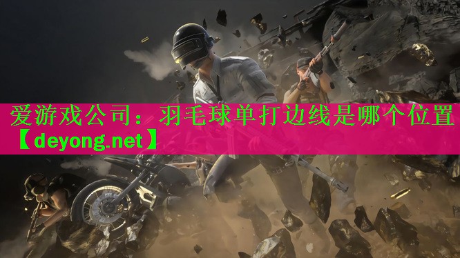 羽毛球单打边线是哪个位置