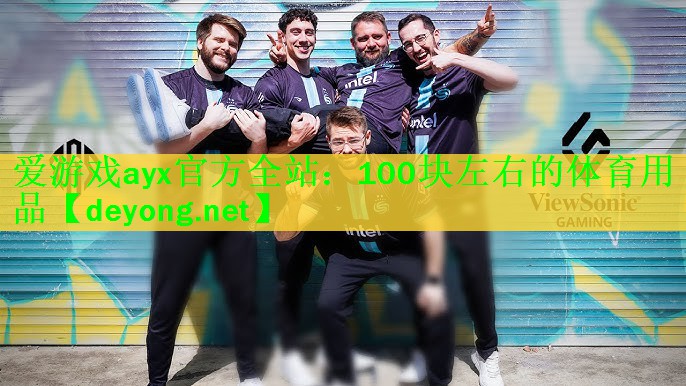 100块左右的体育用品