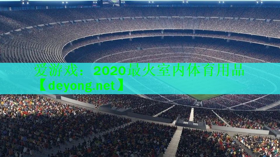 2020最火室内体育用品