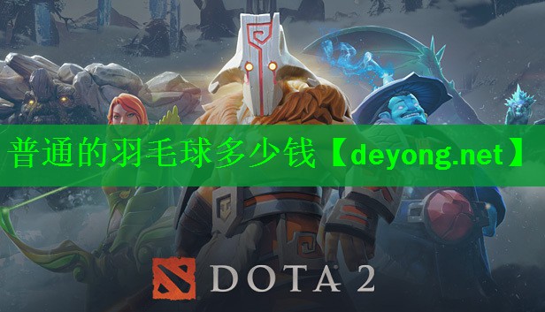 普通的羽毛球多少钱