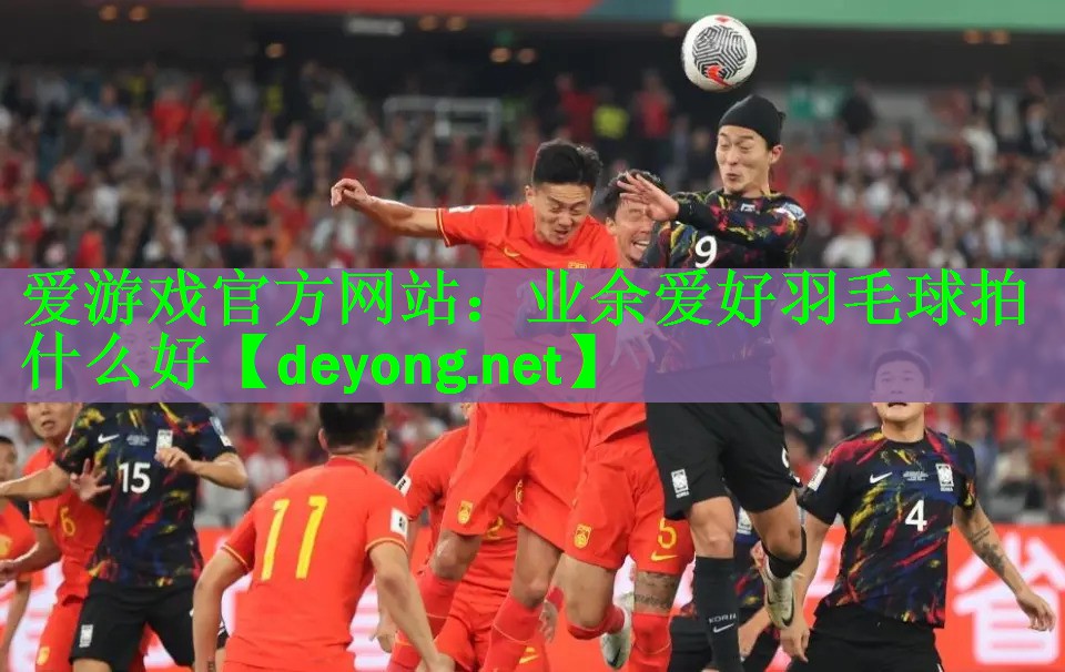 业余爱好羽毛球拍什么好