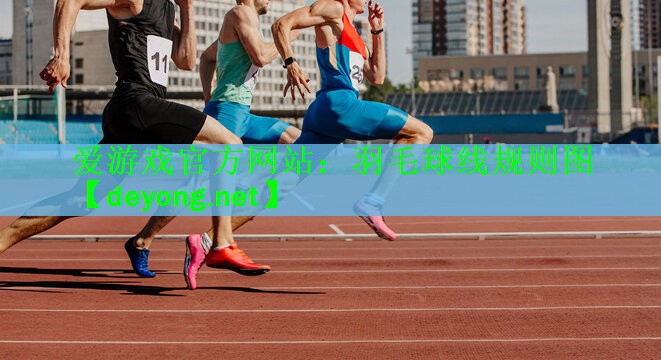 羽毛球线规则图