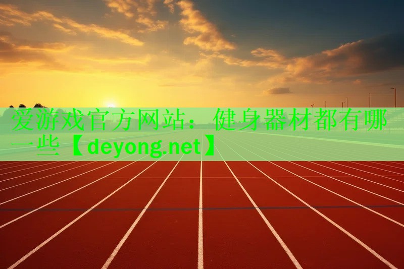 健身器材都有哪一些
