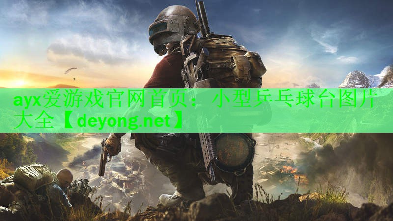 小型乒乓球台图片大全