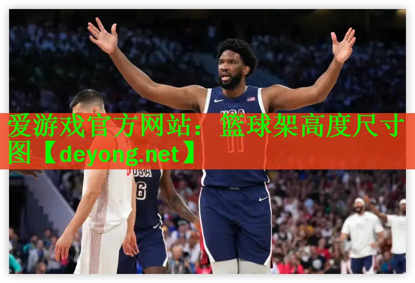 篮球架高度尺寸图