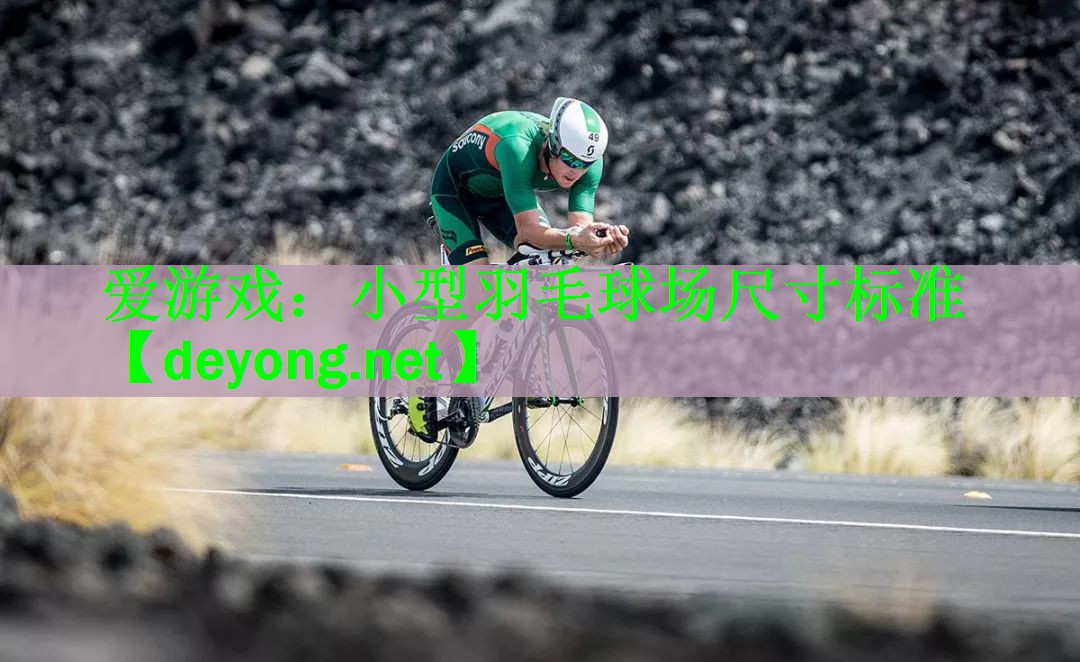 小型羽毛球场尺寸标准