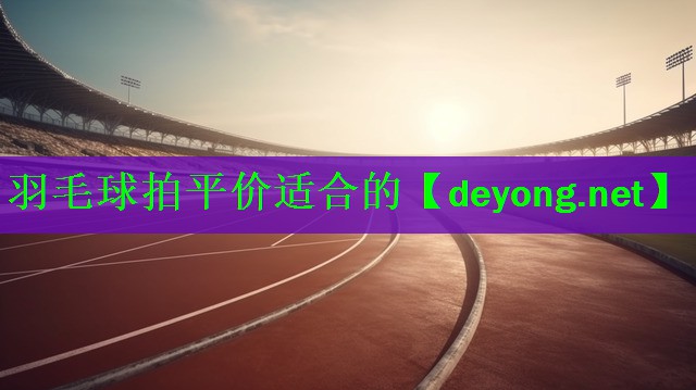 羽毛球拍平价适合的
