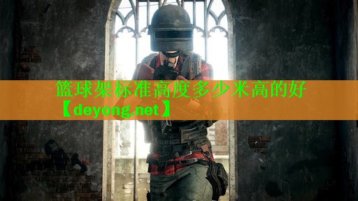 篮球架标准高度多少米高的好